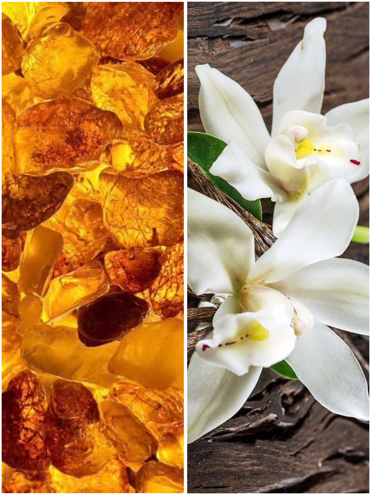 Brown Sugar Bliss Body Mist